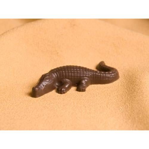 alligator chocolate