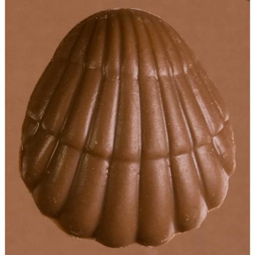 clam shell chocolate, sea shell chocolate