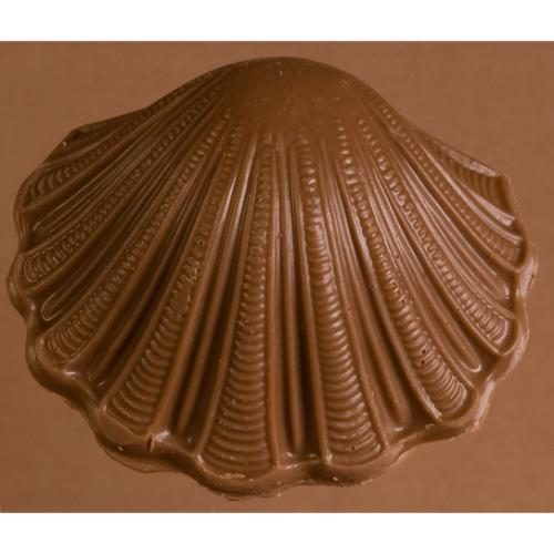 scallop sea shell, nautical chocolate, sea shell chocolate